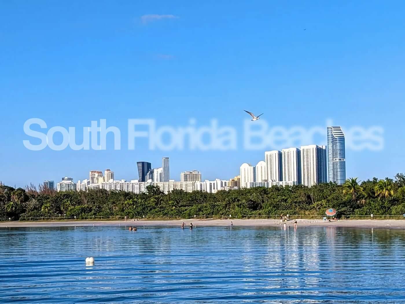 Top 10 Beach Cities in South Florida to Live In image
