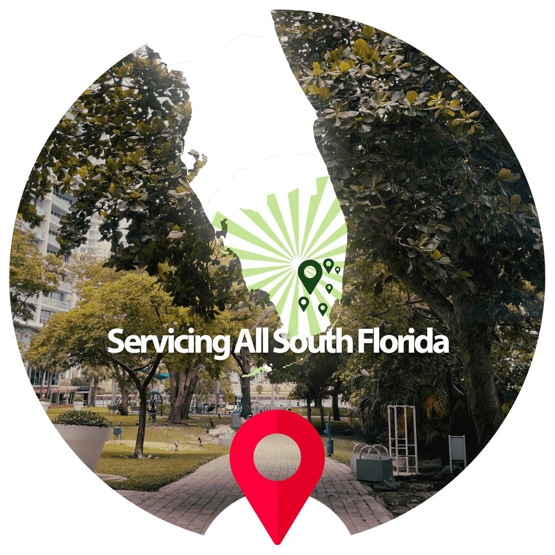 South Florida Tree Removal Service